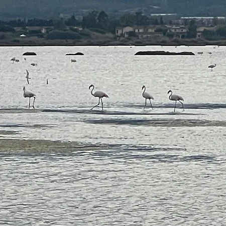 Ichnos * La Maddalena