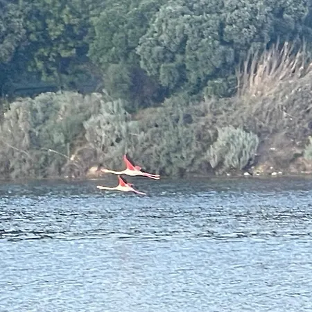 Ichnos * La Maddalena (Cagliari)