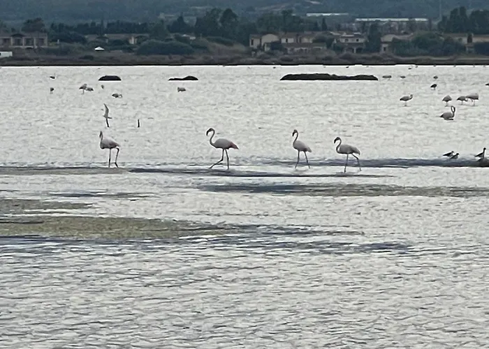 Ichnos * La Maddalena (Cagliari)
